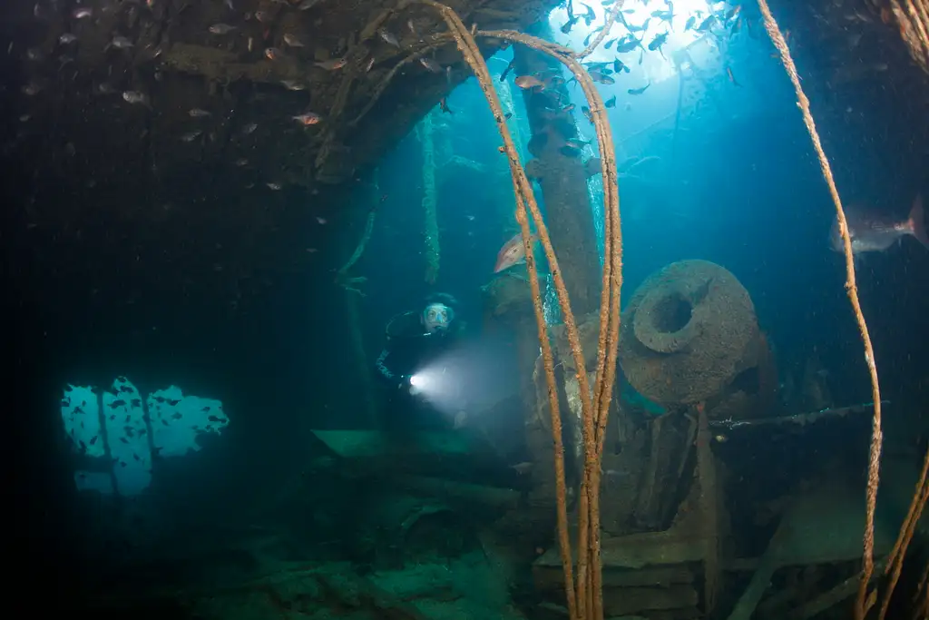 Rainbow Warrior Wreck and Reef Trip