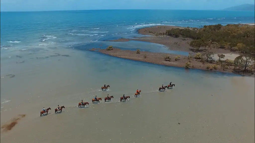 Cape Tribulation Beach Horse Ride