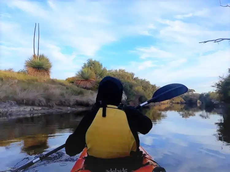 Kangaroo Island Kayak Tour - Harriet River