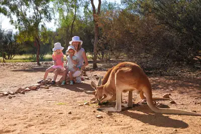 Alice Springs Desert Park - Day Entry