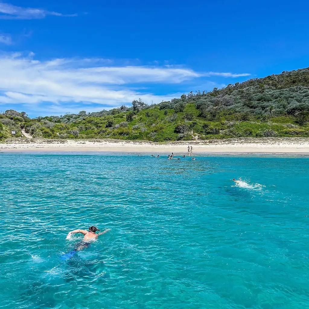 Highlights of Port Stephens Eco Adventure & Beach Swim