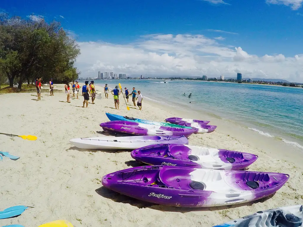 Morning Dolphin Kayaking & Snorkelling Tour