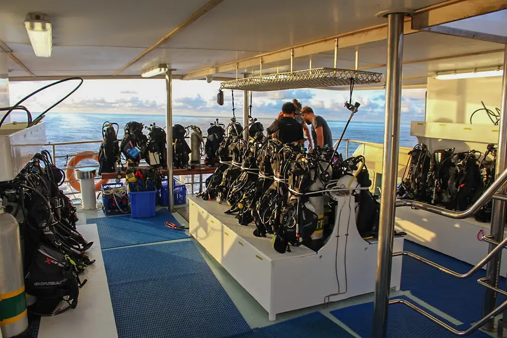 7 Night Liveaboard Dive Trip | Cod Hole & Ribbon Reefs | Great Barrier Reef