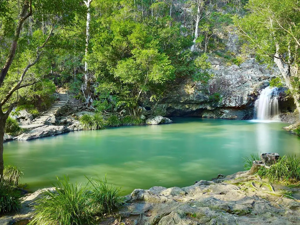 Maleny & Kondalilla Falls Tour