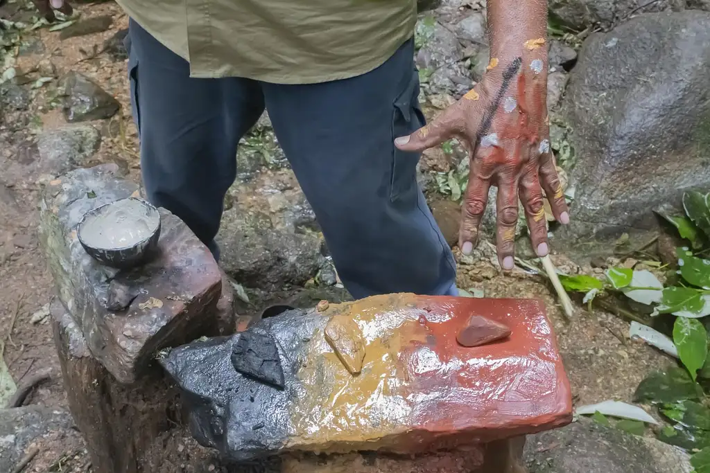 Mossman Gorge, Daintree Rainforest & Beach Fishing Tour with Aboriginal Dreamtime Guide