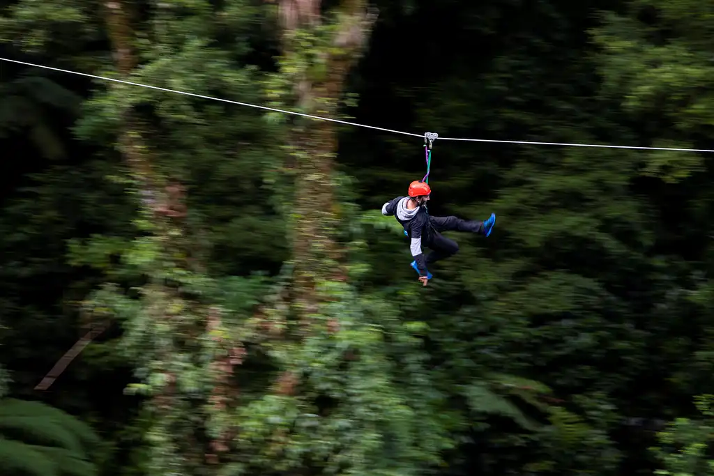 The Original Canopy Tour