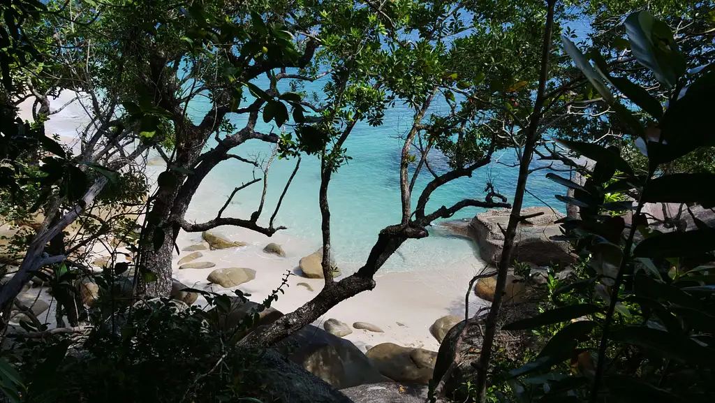 Fitzroy Island Half Day Tour