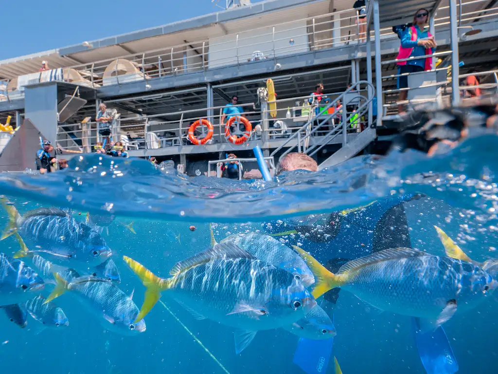 Reefsleep Great Barrier Reef + Whitsundays 2 Days 1 Night