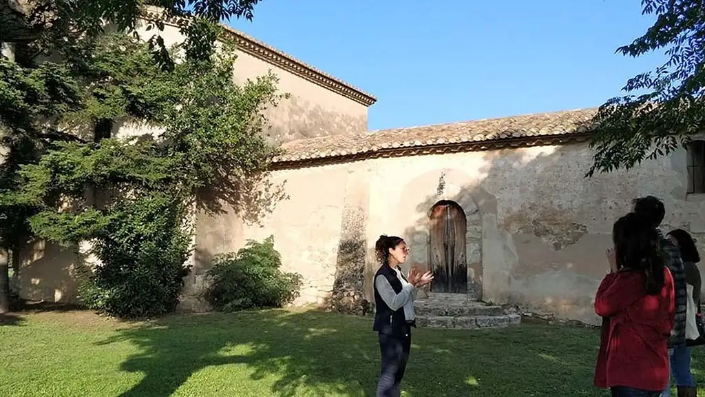 Private Wine And Cava Tour In Penedés