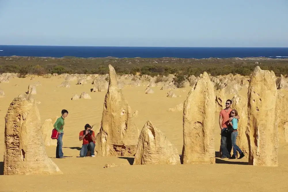 Pinnacles Sunset, Stargazing & Wildlife Full Day Tour