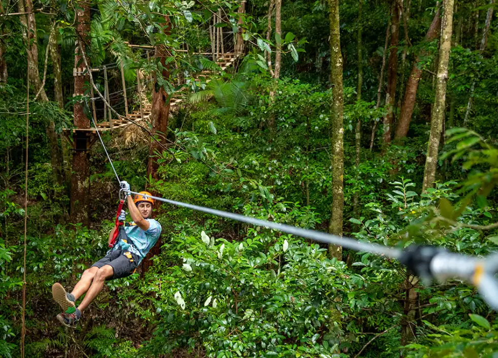 Zipline Tour Cape Tribulation