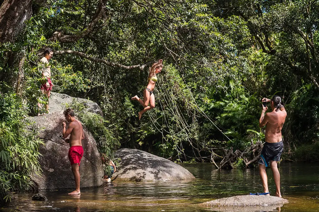 Uncle Brian's Waterfalls and Rainforest Tour