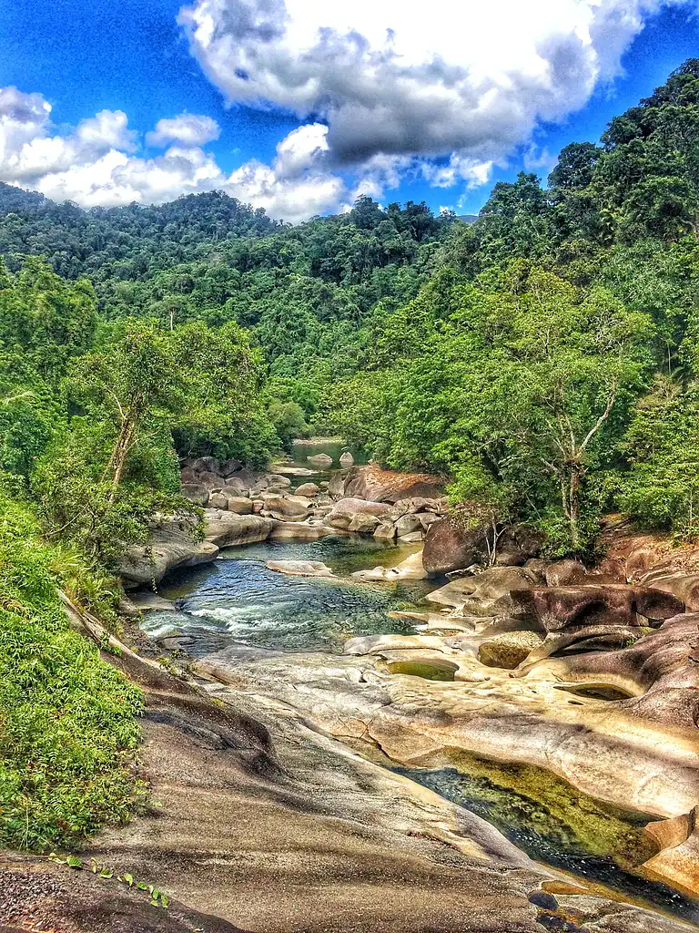 Uncle Brian's Waterfalls and Rainforest Tour