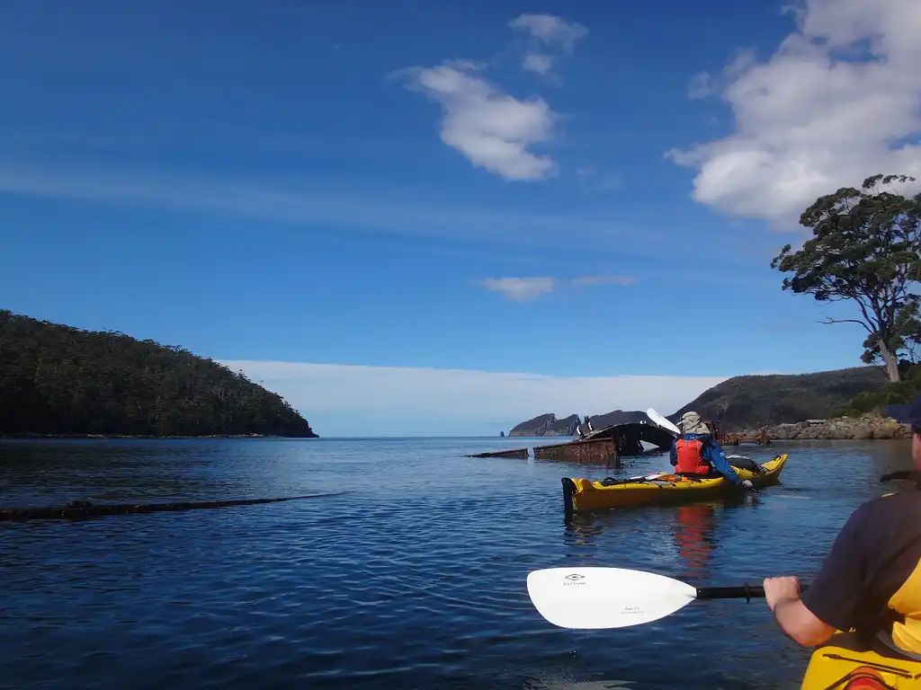 Full Day Kayaking Tasman Peninsula Tour From Hobart