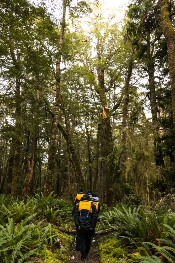 Pure Wilderness Jet Boat Tour