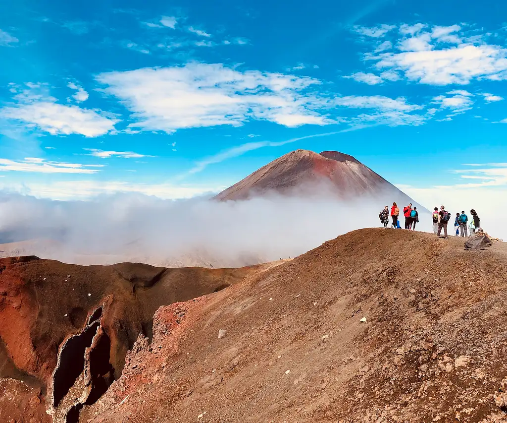 18 Day Ruru Tour | Auckland to Christchurch | Stray