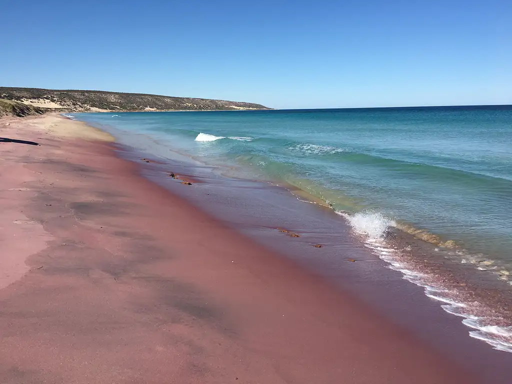 Pink Lake Buggy Tour | Western Australia