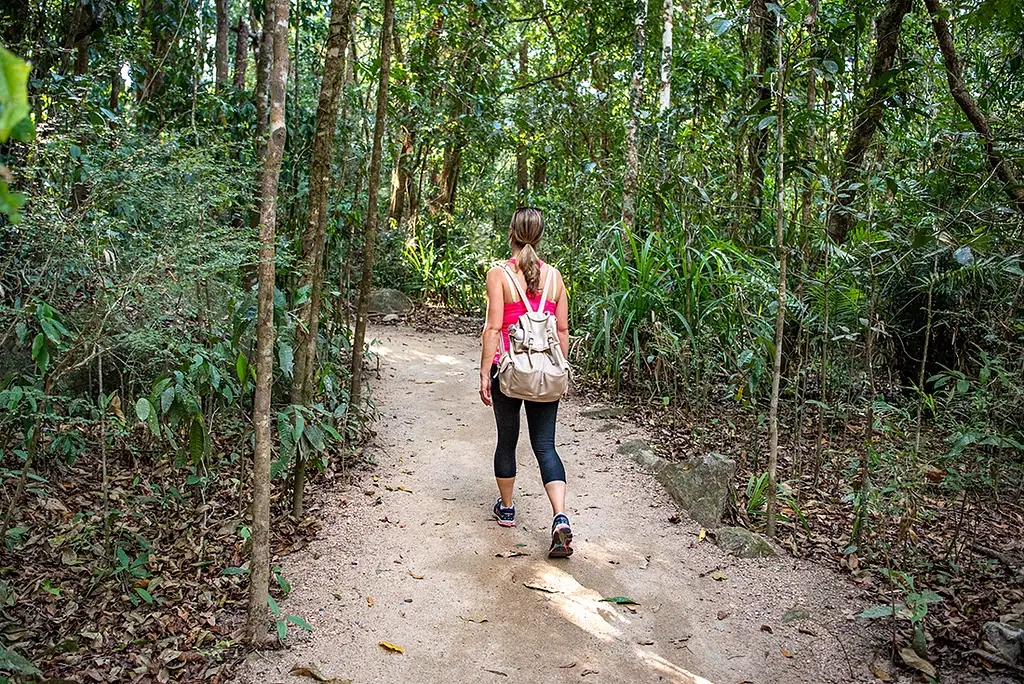 5 Day - Best of Cairns, Great Barrier Reef & Daintree | Intrepid Tour