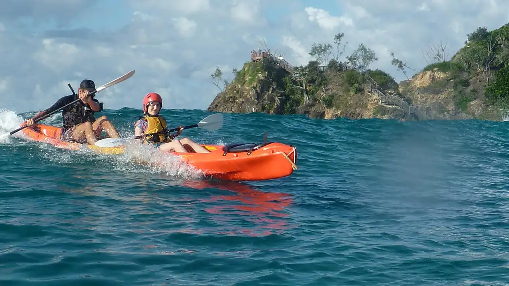 Dolphin Watching and Kayaking Experience from Byron Bay