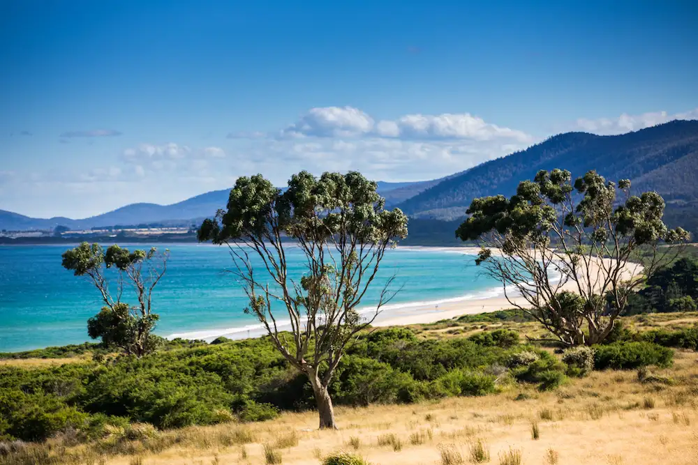 Tasmania East & West Coast 5 Day 4 Night Tour - Start & End Hobart