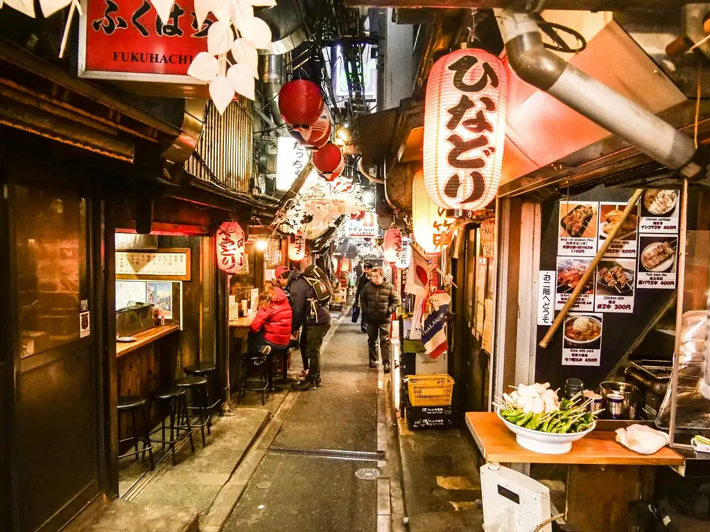 Bar-Hopping Night Tour In Shinjuku