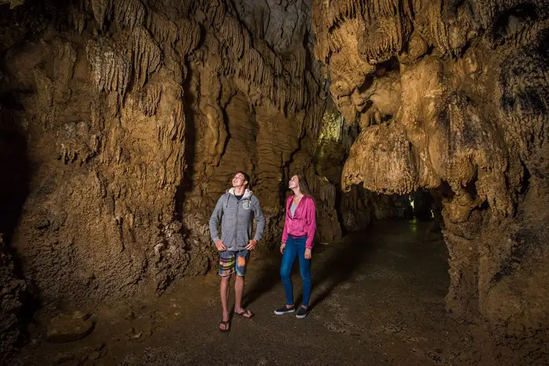 Hobbiton & Waitomo Caves Small Group Tour from Auckland