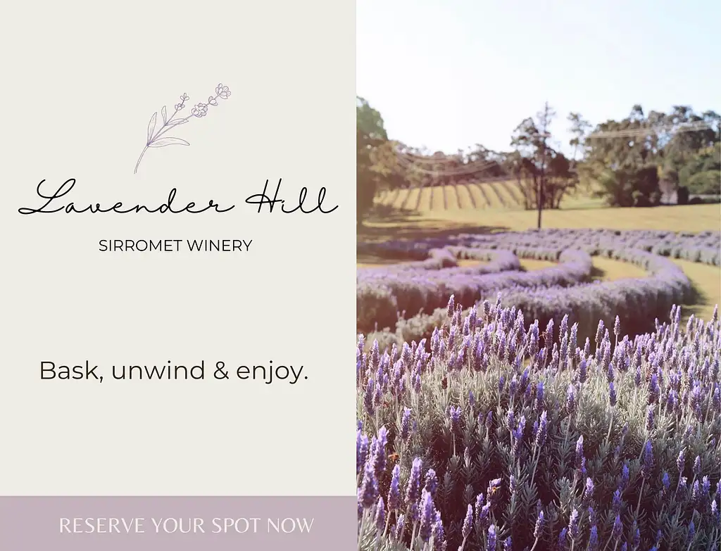 Lavender Hill Picnic Experience At Sirromet Winery