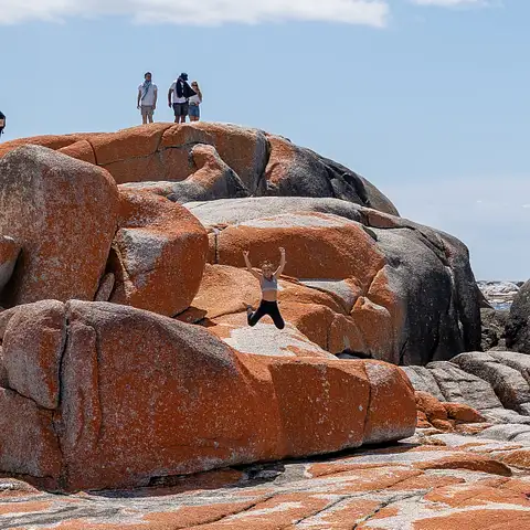 tasmania tours backpacker