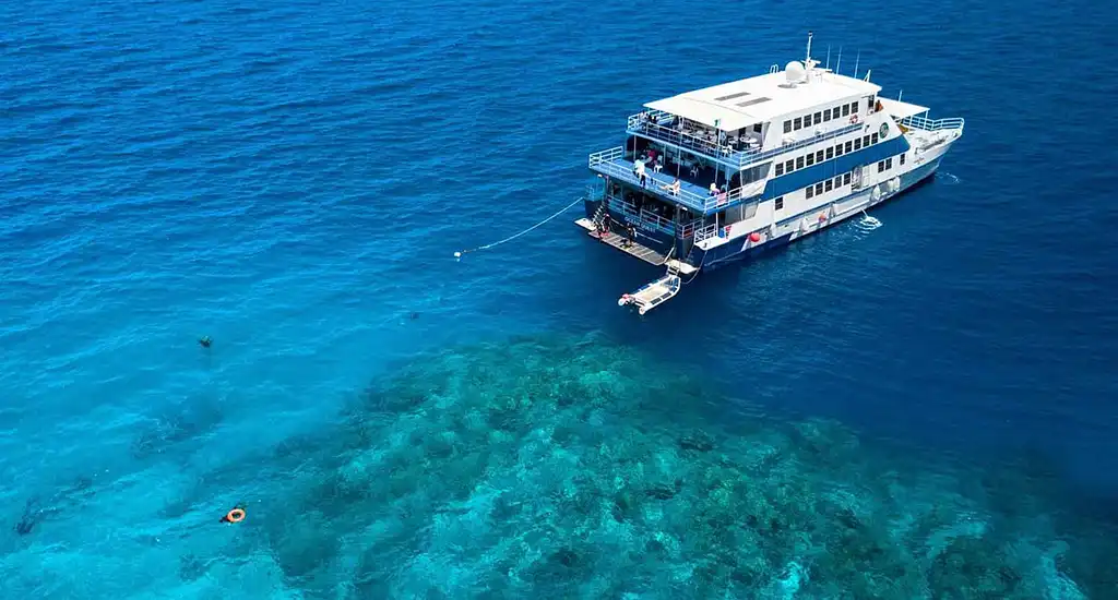 OceanQuest 3 Day 2 Night Liveaboard Experience | Great Barrier Reef