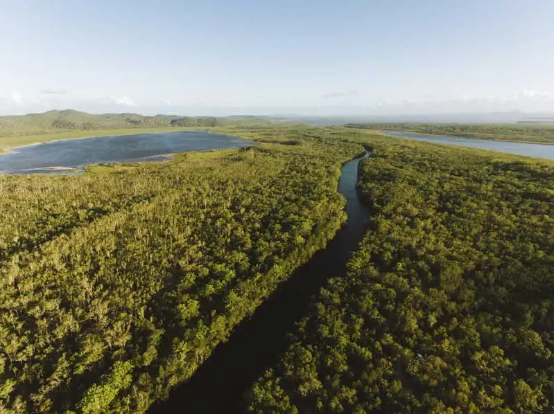 Noosa Everglades Explorer Canoe Trip