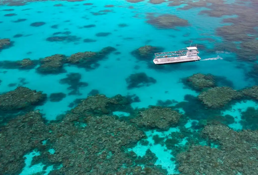 Quicksilver Outer Great Barrier Reef Cruise from Port Douglas