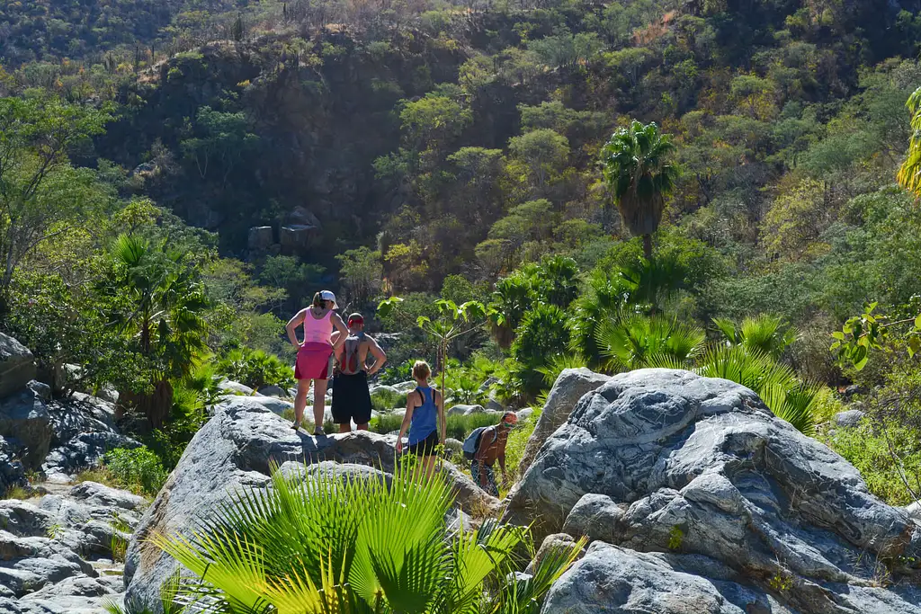 Hiking Tour Of Fox Canyon - Cabo San Lucas