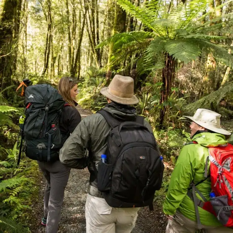 Milford Sound Cruise & Milford Track Walk