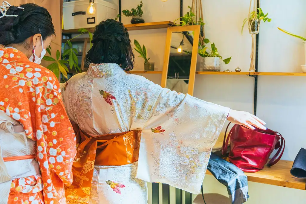 Tea Ceremony and Kimono Dressing Experience in Tokyo Tour