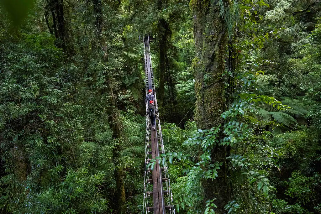 The Original Canopy Tour