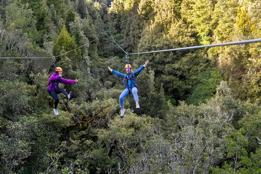 The Ultimate Canopy Tour