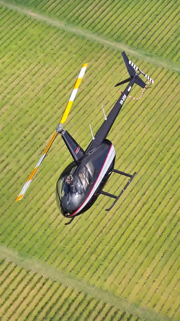 Wine Country Highlights Scenic Helicopter Flight: Hunter Valley