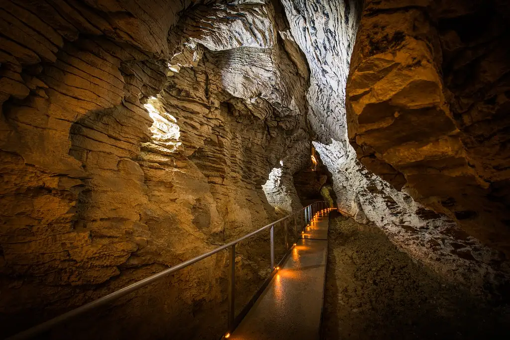 Ruakuri Glowworm Cave Tour