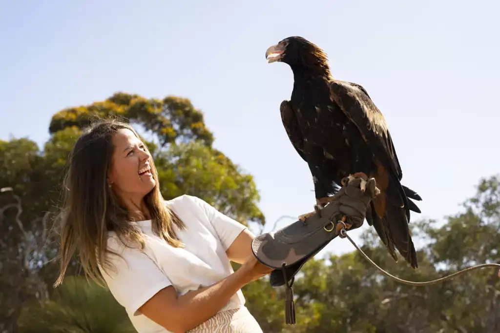 1 Day Kangaroo Island Sip and See