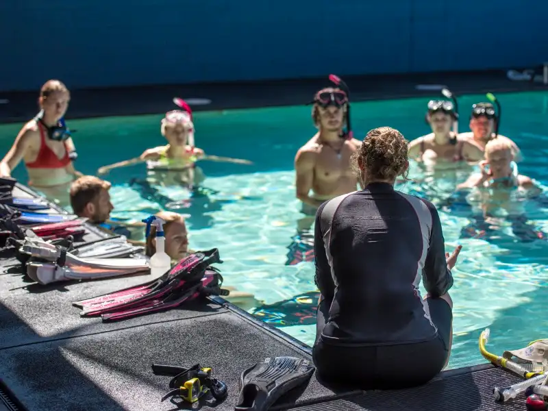 17 Day Divemaster Course in Twin Cabin