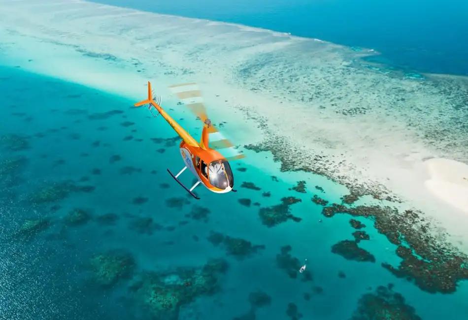 Great Barrier Reef Scenic Heli Flight + City Sights Tour