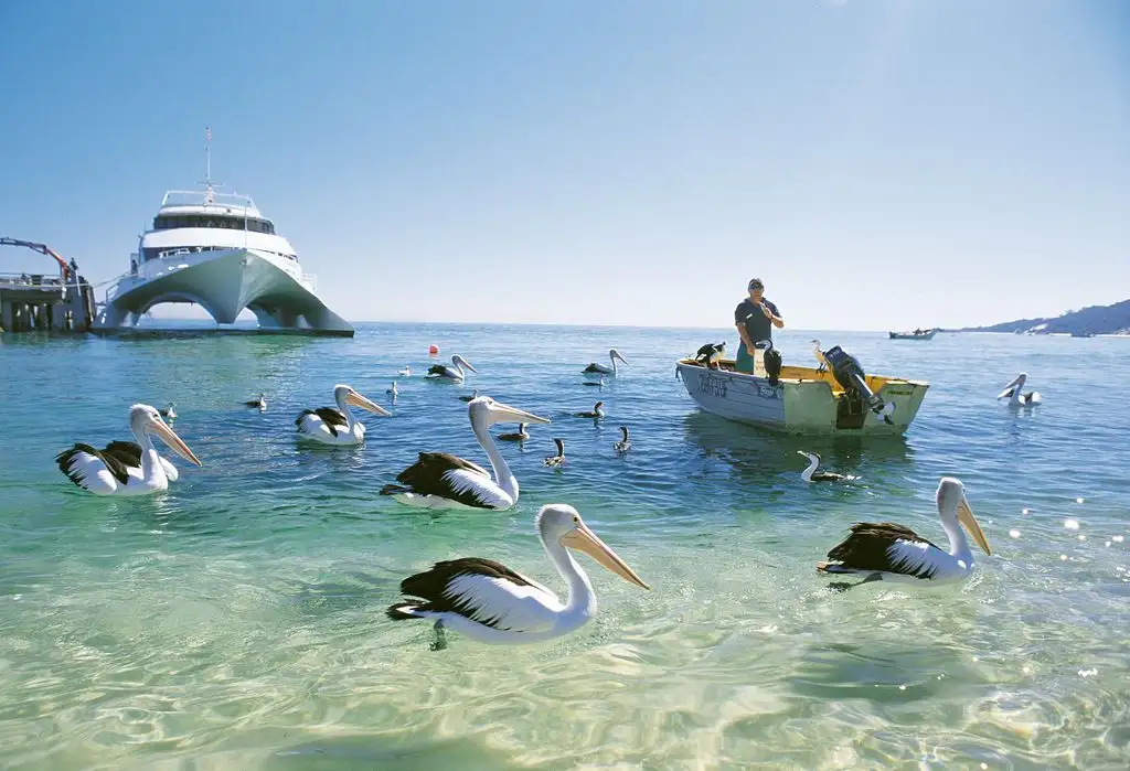 Moreton Island 2 Day Resort Tour (Plus Eco-Walk or Snorkel)