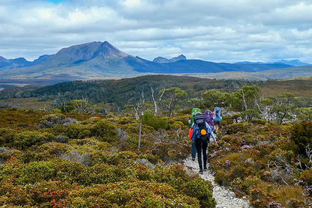 Trek the Cradle Mountain Overland Track