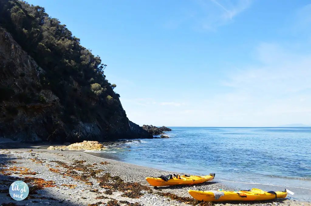 Half Day Sea Kayak Tour - Bateman's Bay