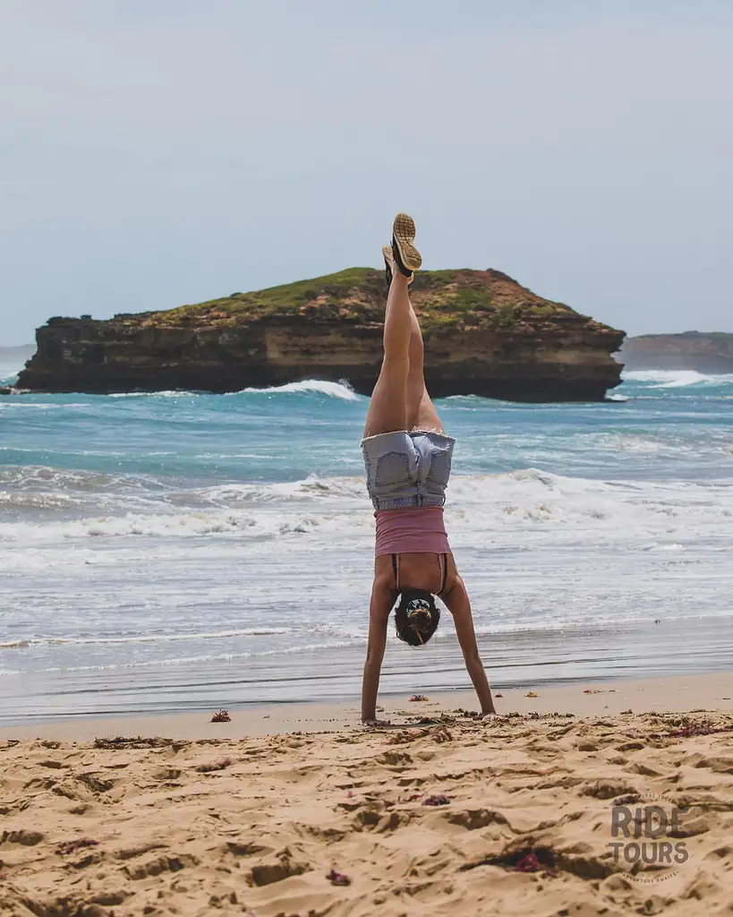 1 Day Great Ocean Road and Wildlife Tour for Backpackers aged 18-35