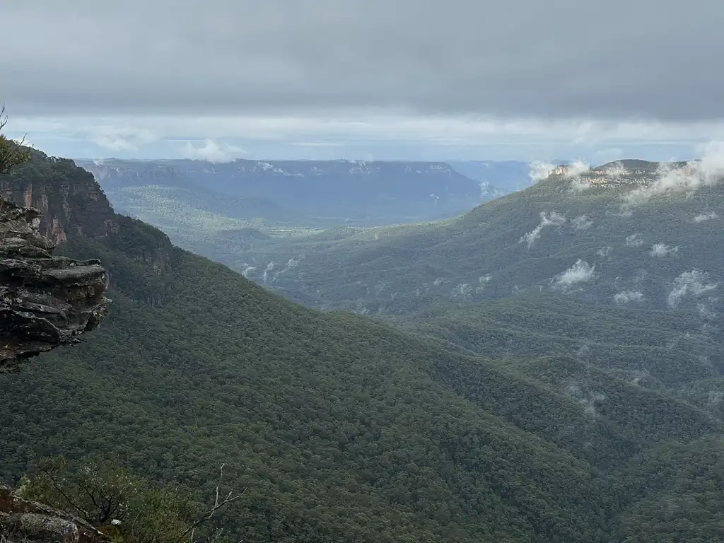 Ultimate Blue Mountains Tour, inc Scenic World, Lunch, Waterfalls, Harbour Cruise & Sydney Zoo plus a FREE up-close Koala Digital Photo