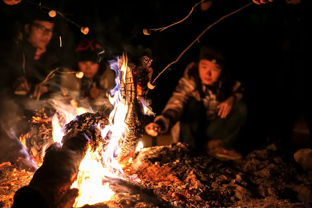 Alice Springs to Alice Springs Uluru Tour - 2 Days 1 Night