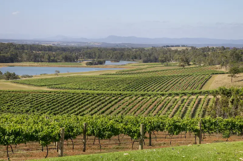 Hunter Valley Wine & Dine Day Tour