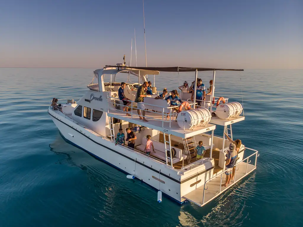 Whale Watching & Sunset Cruise | Broome