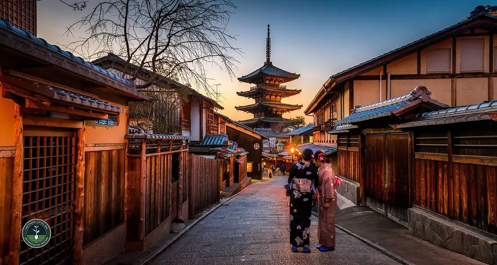 10 Day Japan Tour - Tokyo to Osaka | One Life Adventures